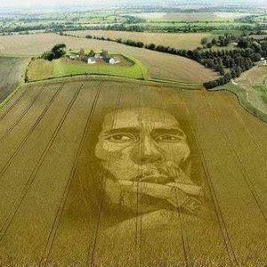 Meet your Posher, Marcus